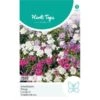 Scheefbloem Mix - Iberis Umbellata -ESSCHER Winkel scheefbloem mix iberis umbellata 1646840362 1098 600