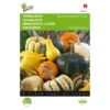 Sierpompoen - Cucurbita Pepo -ESSCHER Winkel sierpompoen cucurbita pepo 1646840326 339 600