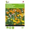 Slaapmutsje - Eschscholzia Californica -ESSCHER Winkel slaapmutsje eschscholzia californica 1646840327 351 600