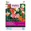 Slaapmutsje Mix - Californische Papaver -ESSCHER Winkel slaapmutsje mix californische papaver 1646840342 665 600