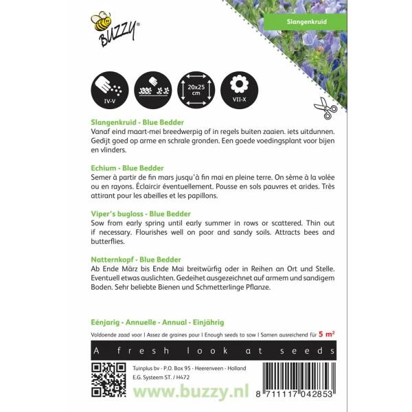 Slangenkruid Blue Bedder - Echium Plantagineum - Afbeelding 2