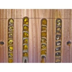 Solitaire Bijenkast In Hout - Educatief -ESSCHER Winkel solitaire bijen kast 1484053464 4 600