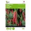 Spaanse Peper Cayenna - Capsicum Annuum -ESSCHER Winkel spaanse peper cayenna capsicum annuum 1646840317 131 600