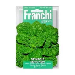 Spinacio Merlo Nero - Spinazie Donkerbladig