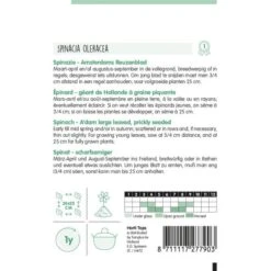 Spinazie Adams Reuzenblad - Spinacia Oleracea -ESSCHER Winkel spinazie adams reuzenblad spinacia oleracea 1646840355 949 600