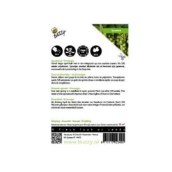 Spruitkool Groninger - Brassica Oleracea -ESSCHER Winkel spruitkool groninger brassica oleracea 1646840316 112 600