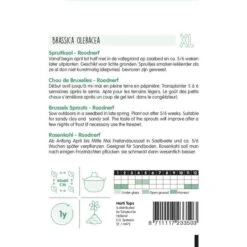 Spruitkool Roodnerf - Brassica Oleracea -ESSCHER Winkel spruitkool roodnerf brassica oleracea 1646840350 835 600