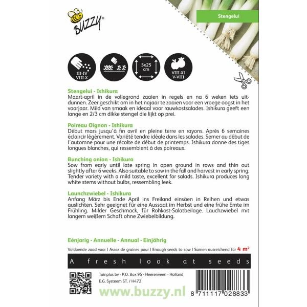 Stengelui Ishikura - Allium Fistulosum 4 Stengelui Ishikura - Allium Fistulosum - Afbeelding 2