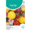 Strobloem Mix - Helichrisum Bracteatum -ESSCHER Winkel strobloem mix helichrisum bracteatum 1646840362 1092 600