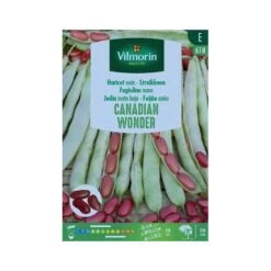 Struikboon Canadian Wonder