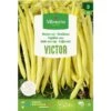 Struikboon Victor - 20 G -ESSCHER Winkel struikboon victor 20 g 1652454249 1 600