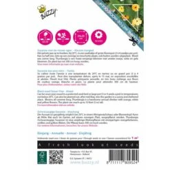 Suzanne Met De Mooie Ogen - Thunbergia Alata (klimmer) -ESSCHER Winkel suzanne met de mooie ogen thunbergia alata klimmer 1646840343 682 600