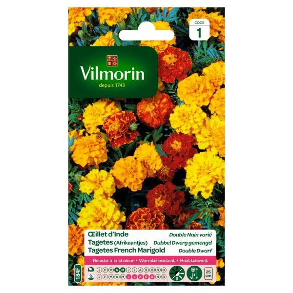 Tagetes Dubbel Dwerg Gemengd - Tagetes Patula
