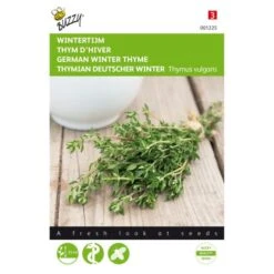 Tijm (wintertijm) - Thymus Vulgaris