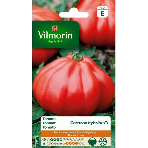 Tomaat Coeur Boeuf Corazon