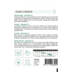 Tomaat Bombero F1 (Maestro) - Solanum Lycopersicum L. -ESSCHER Winkel tomaat maestro f1 solanum lycopersicum l 1646840356 965 600