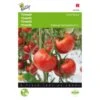 Tomaten St. Pierre - Lycopersicon Esculentum -ESSCHER Winkel tomaten st pierre lycopersicon esculentum 1646840322 245 600