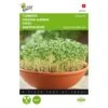 Tuinkers Gewone - Lepidium Sativum -ESSCHER Winkel tuinkers gewone lepidium sativum 1646840322 251 600