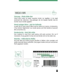 Tuinraap Platte Witte Mei - Brassica Rapa 5 Tuinraap Platte Witte Mei - Brassica Rapa -ESSCHER Winkel tuinraap platte witte mei brassica rapa 1646840354 923 600