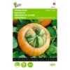 Turkse Muts - Cucurbita Maxima Turbaniformis -ESSCHER Winkel turkse muts cucurbita maxima turbaniformis 1646840326 341 600