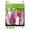 Valse Ridderspoor - Delphinium Ajacis -ESSCHER Winkel valse ridderspoor delphinium ajacis 1646840326 343 600