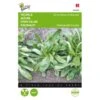 Veldsla Grote Noordhollandse - Valeriana Locusta -ESSCHER Winkel veldsla grote noordhollandse valeriana locusta 1646840320 201 600