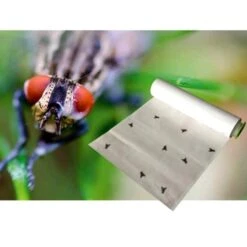 Vliegen Vangrol 1000 × 25 Cm -ESSCHER Winkel vliegen vangrol 10 m 1498819201 1 600