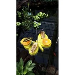 ESSCHERT DESIGN Vlinder Voederschaal Vlindervorm -ESSCHER Winkel vlinder voederschaal 1484052690 3 600