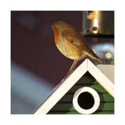 Nestkast + Voederhuis - Multiholk Green Cottage -ESSCHER Winkel vogelhuis voederhuis groen 1672144539 2 600