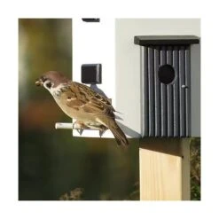 Nestkast + Voederhuis - Multiholk Functional House -ESSCHER Winkel vogelhuis voederhuis modern 1672144878 2 600