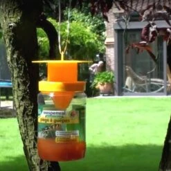 BSI Wespenval - Herbruikbaar -ESSCHER Winkel wespenval herbruikbaar 1554450075 2 600