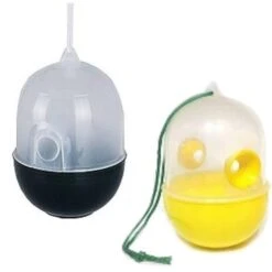 Wespenval Hangen Of Staan -ESSCHER Winkel wespenval hangen of staan 1484053282 2 600