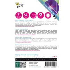 Winde Knowlians Black -Ipomoea Purpurea (Klimmer) -ESSCHER Winkel winde knowlians black ipomoea purpurea klimmer 1646840341 646 600