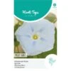 Winde Milkyway - Ipomoea Tricolor -ESSCHER Winkel winde milkyway ipomoea tricolor 1646840362 1106 600