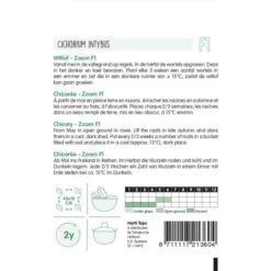 ESSCHER Winkel 30 ESSCHER Winkel -ESSCHER Winkel witlof zoom f1 cichorium intybus 1646840315 84 600