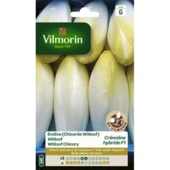 Witloof Crenoline F1 15 G
