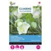 Witte Klokwinde - Cobaea Alba Wit (Klimmer) -ESSCHER Winkel witte klokwinde cobaea alba wit klimmer 1646840340 643 600