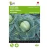 Witte Kool Langedijker Bewaar - Brassica Oleracea -ESSCHER Winkel witte kool langedijker bewaar brassica oleracea 1646840316 119 600