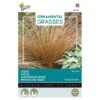 Zegge Bronco - Carex Comans -ESSCHER Winkel zegge bronco carex comans 1646840390 1648 600