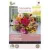 Zomerbloemen Endless Summer -ESSCHER Winkel zomerbloemen endless summer 1646840392 1678 600