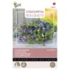 Zomerbloemen Royal Blue -ESSCHER Winkel zomerbloemen royal blue 1646840392 1682 600