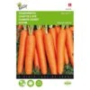 Zomerwortel Napoli F1 - Daucus Carota 2 Zomerwortel Napoli F1 - Daucus Carota -ESSCHER Winkel zomerwortel napoli f1 daucus carota 1646840376 1410 600