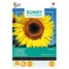Zonnebloem Gigant - Helianthus Annuus (Sunflowers) -ESSCHER Winkel zonnebloem gigant helianthus annuus sunflowers 1646840321 227 600
