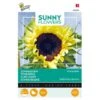 Zonnebloem Moonwalker - Helianthus Moonwalker -ESSCHER Winkel zonnebloem moonwalker helianthus moonwalker 1646840320 199 600
