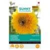 Zonnebloem Sungold - Helianthus Annuus (Sunflowers) -ESSCHER Winkel zonnebloem sungold helianthus annuus sunflowers 1646840314 59 600