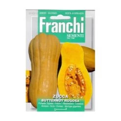 Zucca Butternut Rugosa - Pompoen Butternut