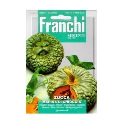 Zucca Marina Di Chioggia - Pompoen /squash Groen