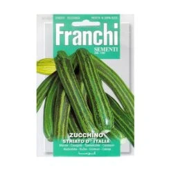 Zucchino Striato D Italia - Courgette