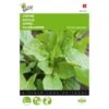 Zuring - Rumex Acetosa -ESSCHER Winkel zuring rumex acetosa 1646840314 67 600